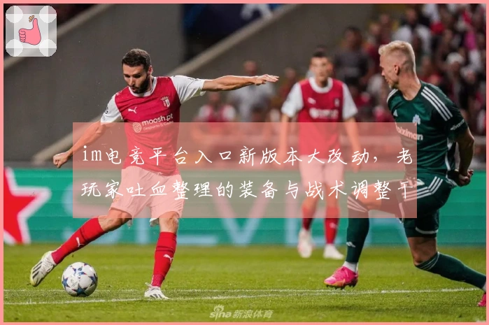 im电竞平台入口新版本大改动，老玩家吐血整理的装备与战术调整干货避坑指南