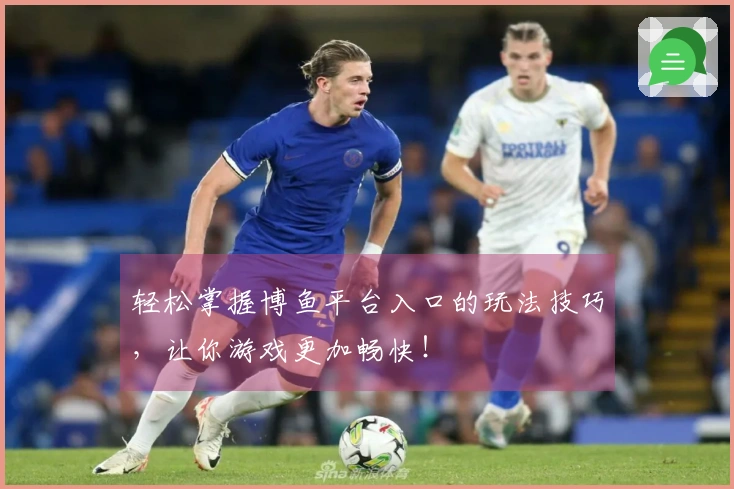 轻松掌握博鱼平台入口的玩法技巧，让你游戏更加畅快！